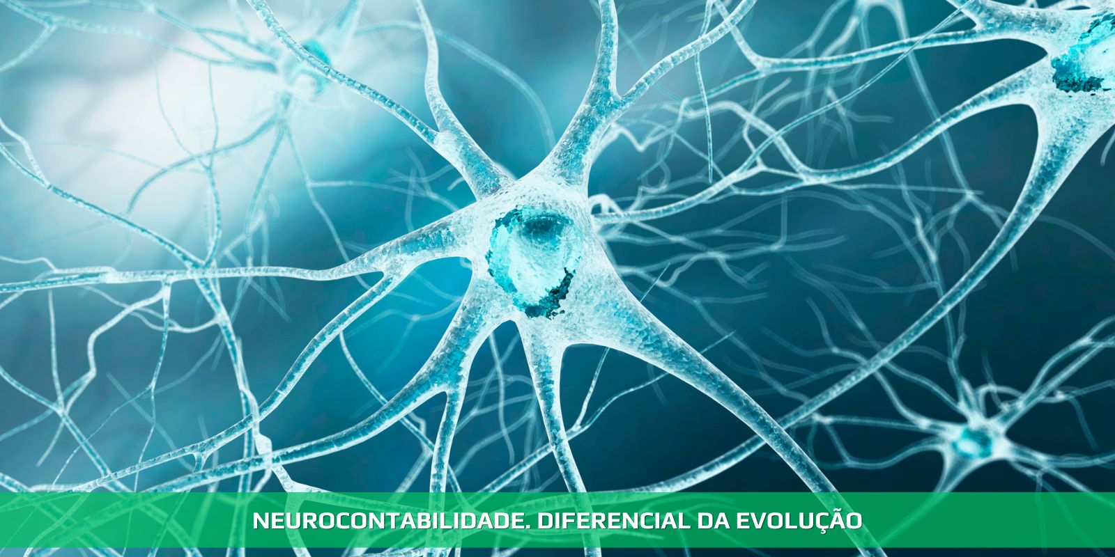 Figura 4 - NEUROCONTABILIDADE. O FUTURO JÁ CHEGOU